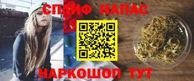 дурь Славгород