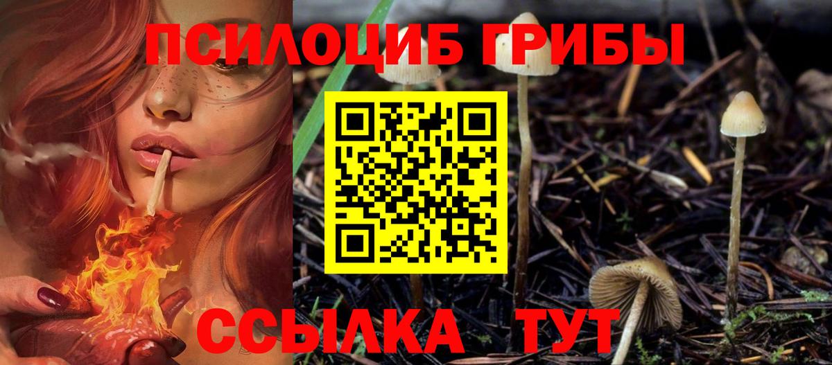 Галлюциногенные грибы мицелий  Вход с VPN  Наро-Фоминск 