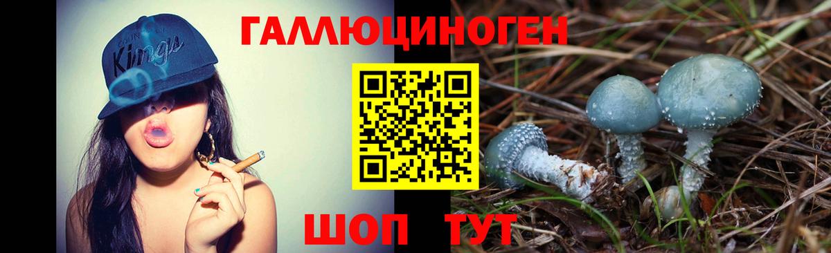 Псилоцибиновые грибы Psilocybine cubensis Наро-Фоминск